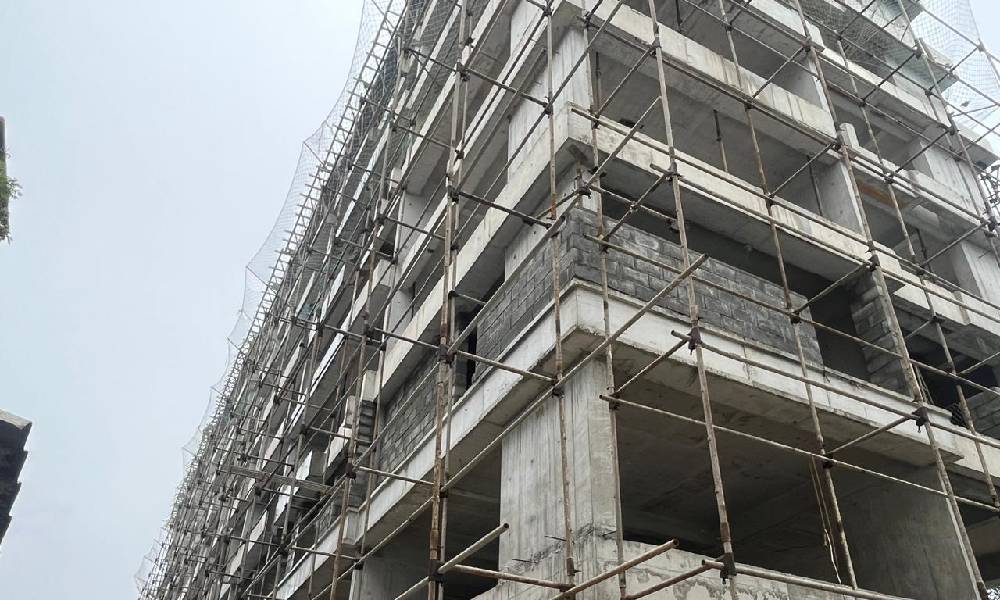 Dec Image 7
